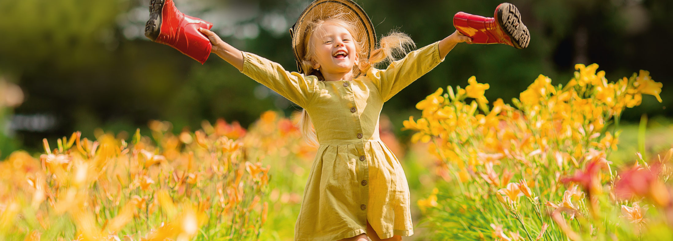 Das Heydorf-Prinzip Das Heydorf-Prinzip