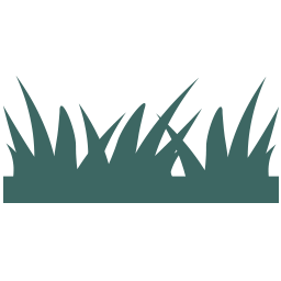 Flachdach, begrünt Image